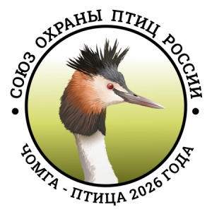 ����� � ����� 2026 ���� � ������.